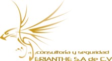Consultoria y Seguridad Erianthe